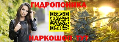 наркотики Новозыбков