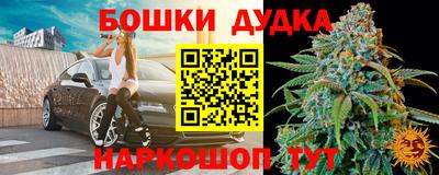 наркотики Новозыбков