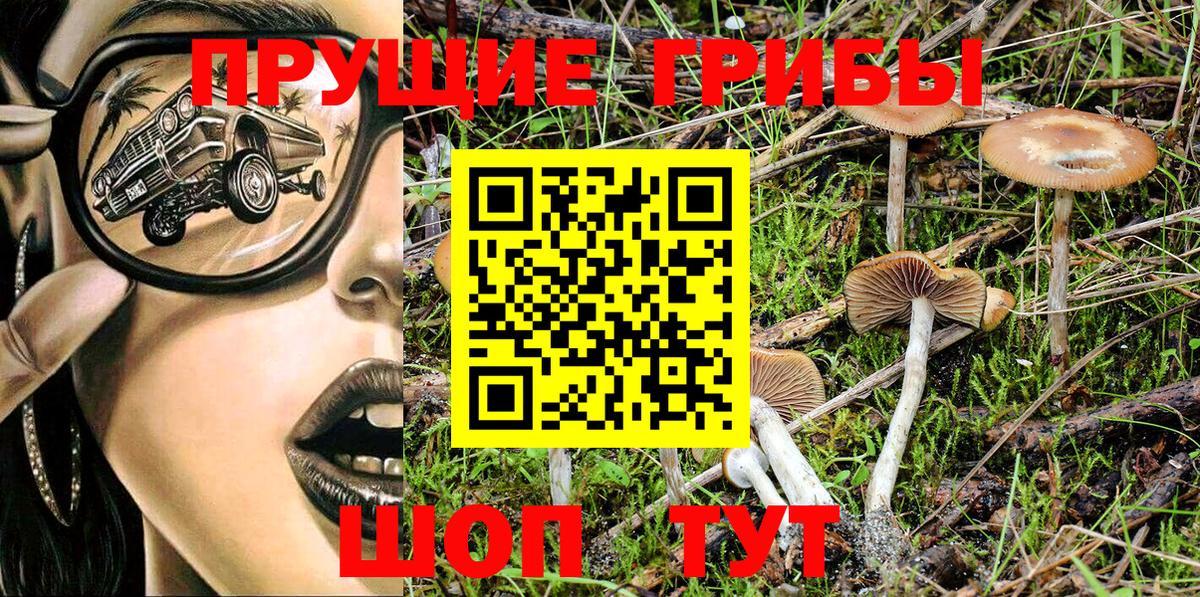 Галлюциногенные грибы ЛСД  Галлюциногенные грибы Magic Shrooms  Вход с VPN  Саяногорск 